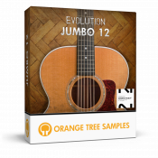 Evolution Jumbo 12 sample library for Kontakt